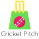 Cricket Pitch